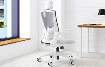 SOLOS Office Chairs of 2021: Top Seat Choices for Home or Work