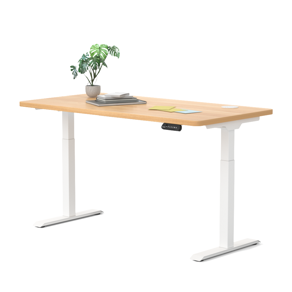 V2 Premium Standing Desk 