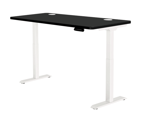 Standing Desk Frame Assembled with Different Accessories